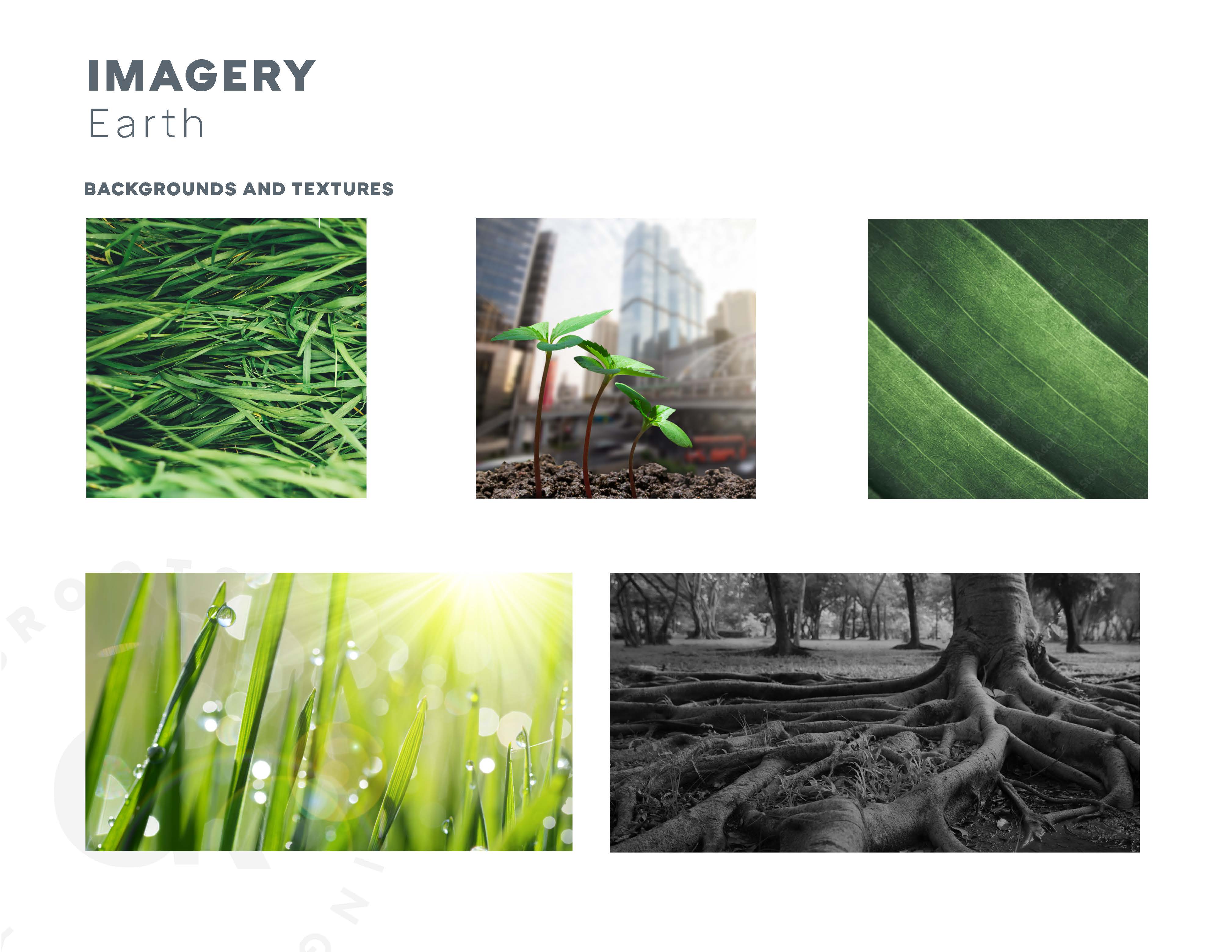 Imagery — Earth: grass, urban sprout, leaf macro, sunlit dew, tree roots