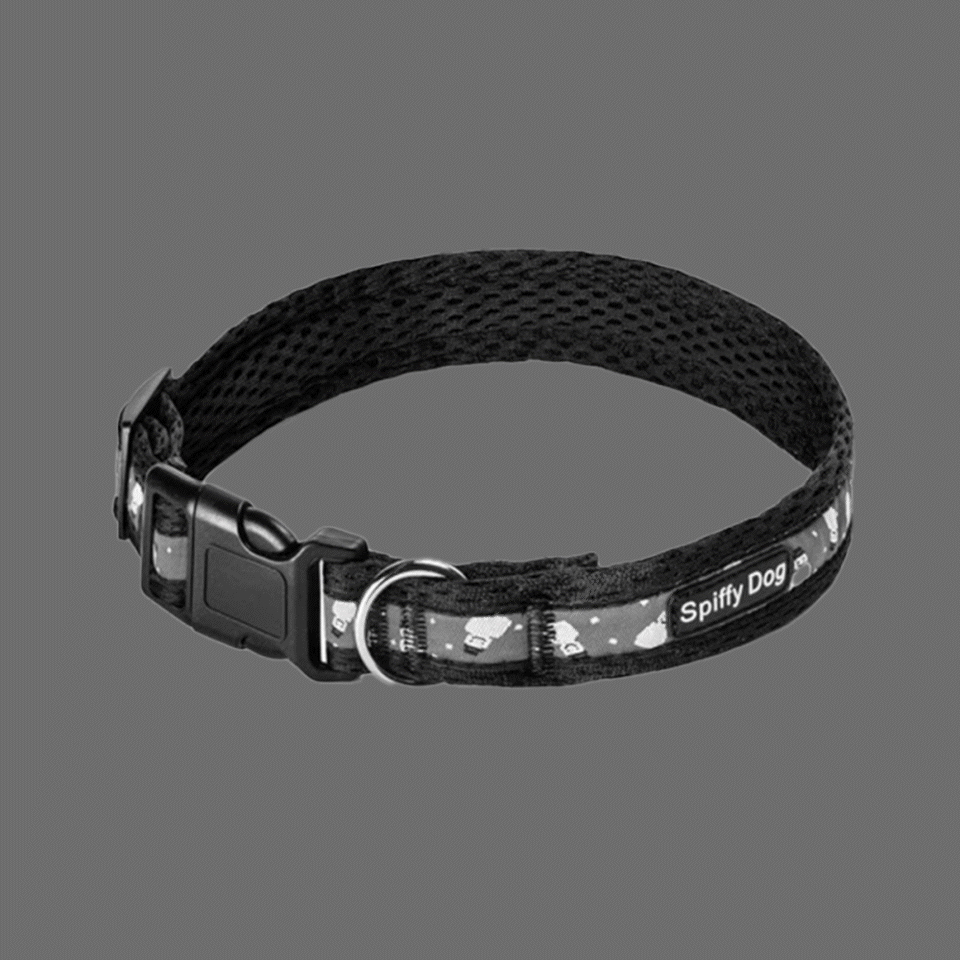 Spiffy Dog air collar product shot — monochrome on grey background