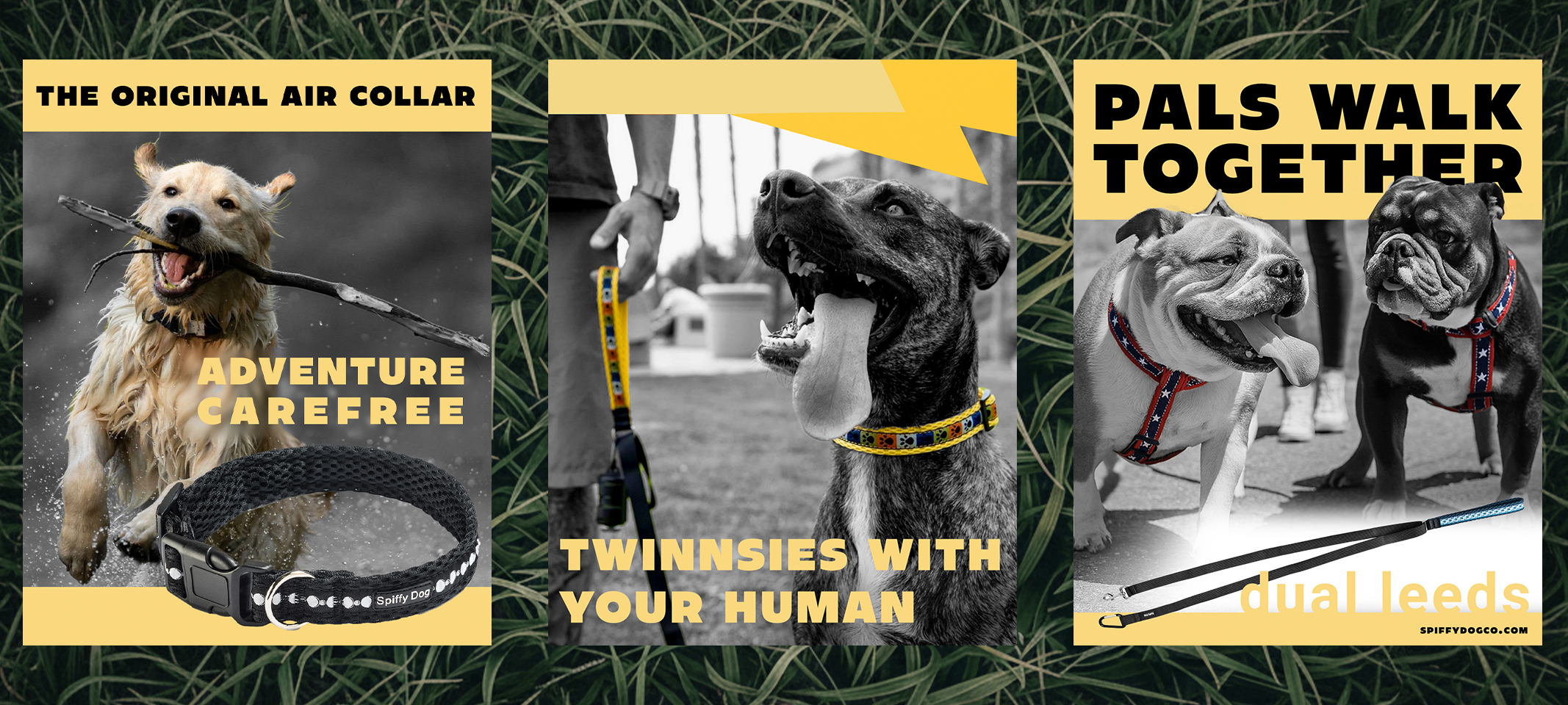 Three-panel social campaign — Adventure Carefree air collar, Twinnsies With Your Human, and Pals Walk Together dual leads